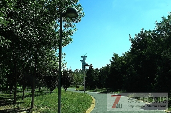 城市森林公园道路、步道照明设计原则