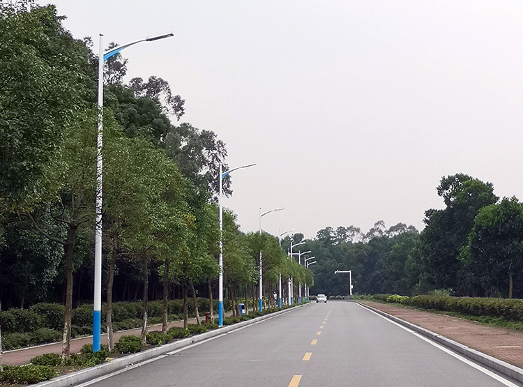 7米单臂热镀锌内射麻豆少妇AV网100WLED路灯安装效果实拍